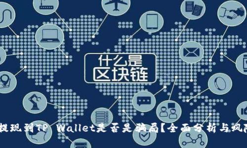 USDT提现到TP Wallet是否是骗局？全面分析与风险评估