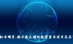 2023年虚拟币明星：揭示最