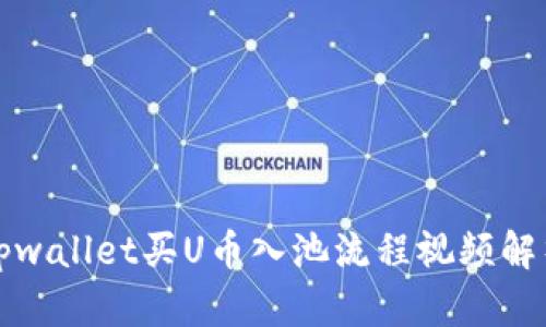tpwallet买U币入池流程视频解析